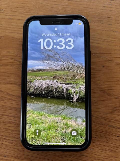 IPhone 12 mini, Telecommunicatie, Ophalen, 80 %, 128 GB, Zo goed als nieuw