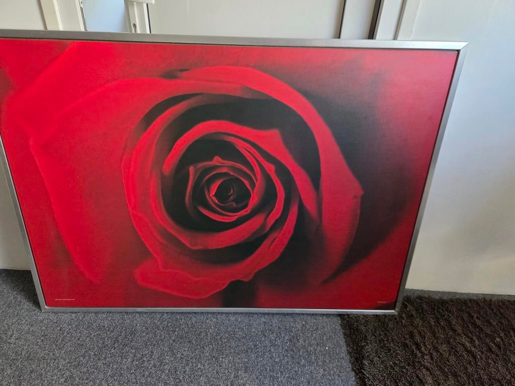 Schilderij Japack Rose Ikea - Rode Roos, Gebruikt, Ophalen of Verzenden, Schilderij, 75 tot 100 cm