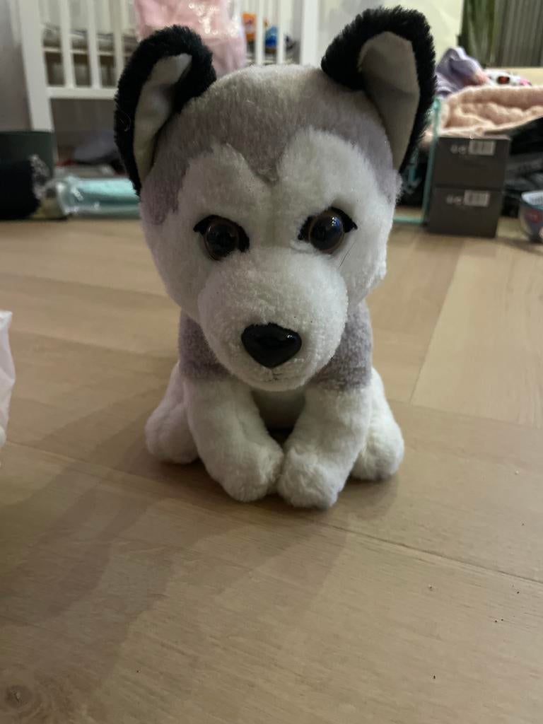 Schattige Husky Knuffel - Zo goed als nieuw, Grijs, Zo goed als nieuw, Middelgroot (20 tot 80 cm), Hond