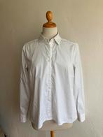 Polkadot blouse Seidensticker, mt 42, katoen, Kleding | Dames, Ophalen of Verzenden, Gedragen, Maat 42/44 (L), Wit