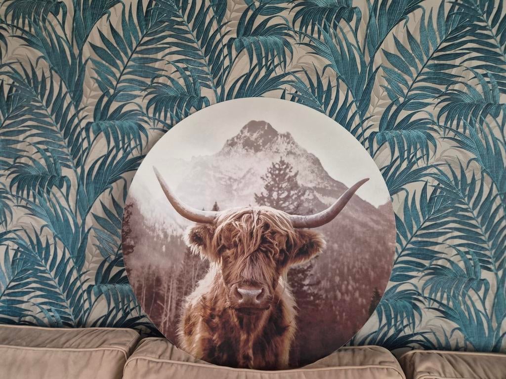 Wandcirkel Schotse Hooglander aluminium, Ophalen of Verzenden