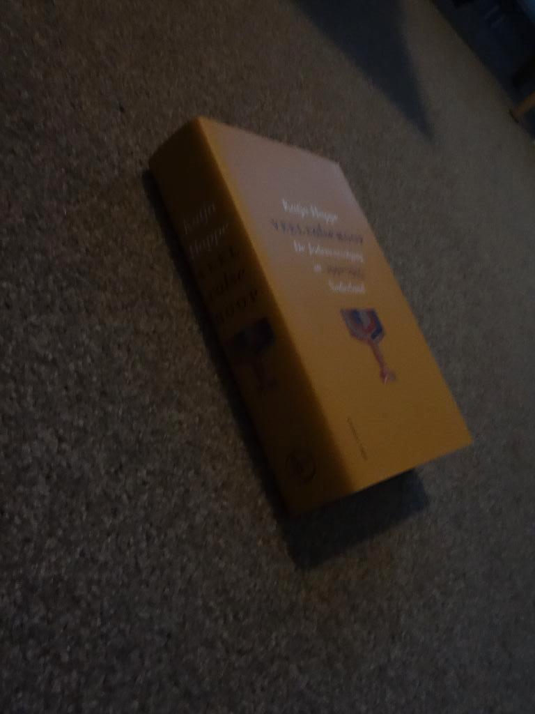 Katja Happe, Veel valse hoop, Ophalen of Verzenden, Zo goed als nieuw, Christendom | Katholiek