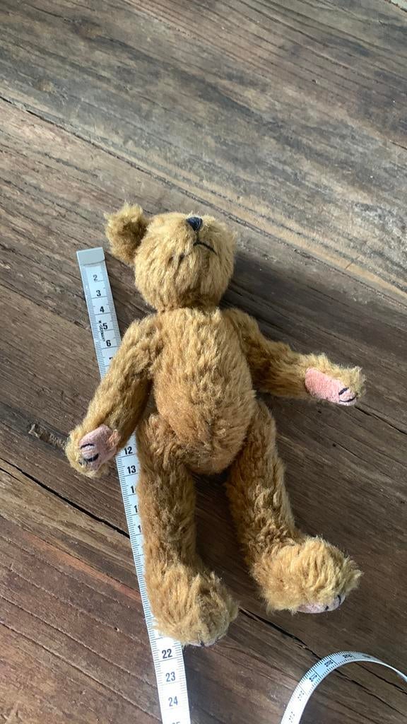 Beertje 22 cm, Verzamelen, Ophalen of Verzenden, Zo goed als nieuw, Stoffen beer, Overige merken