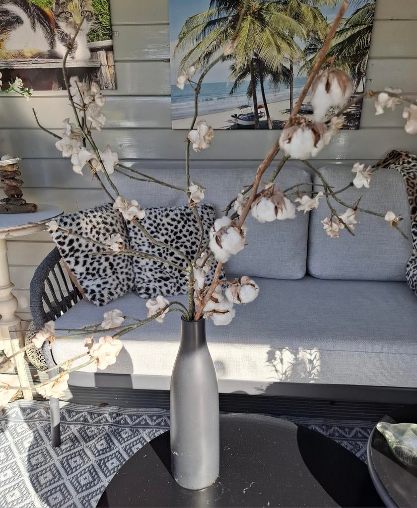 Vaas, Ophalen of Verzenden, Overige kleuren, Minder dan 50 cm