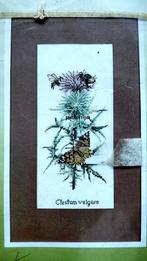 borduren: lanarte borduurpatroon nr. 33546 Marjolein Bastin, Verzenden, Gebruikt, Handborduren, Patroon