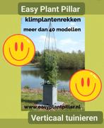 Plantensteunen klimplantsteunen plantenrekken Draadrekken, Ophalen of Verzenden, Nieuw, IJzer, Overige typen