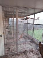 Aluminium rekken, Ophalen of Verzenden, Aluminium, Volière