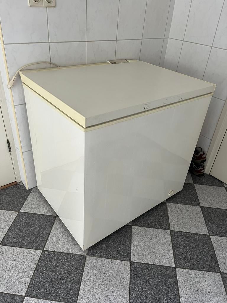 Diepvries kist, Witgoed en Apparatuur, Vriezers en Diepvrieskisten, Vrieskist, Gebruikt, Ophalen, 85 tot 120 cm