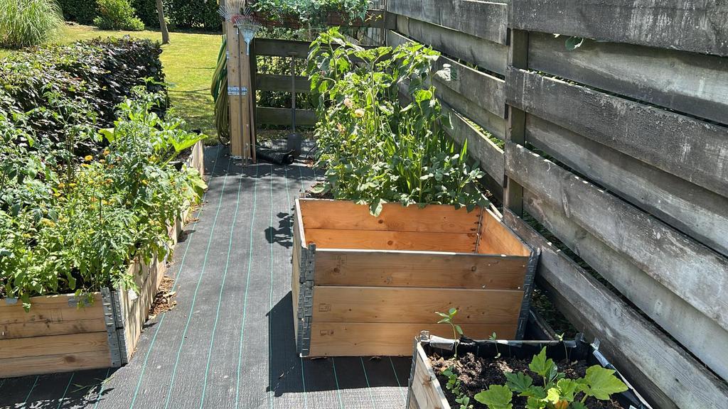 Moestuinbakken palletranden, Tuin en Terras, Bloembakken en Plantenbakken, Ophalen, Minder dan 30 cm, 100 cm of meer, Zo goed als nieuw