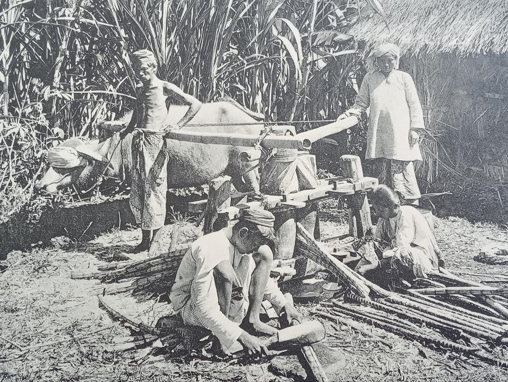 Foto gravure Nederlands Indië Indonesië 1910, Verzamelen, Ophalen of Verzenden, Voor 1940, Zo goed als nieuw, Buitenland