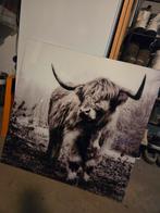 Plexiglas Schilderij Schotse Hooglander, Ophalen, Zo goed als nieuw, Schilderij, 75 tot 100 cm