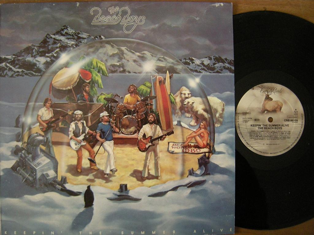 The Beach Boys (Keepin' The Summer Alive), Cd's en Dvd's, Vinyl | Rock, Ophalen of Verzenden, Gebruikt, 12 inch, Poprock