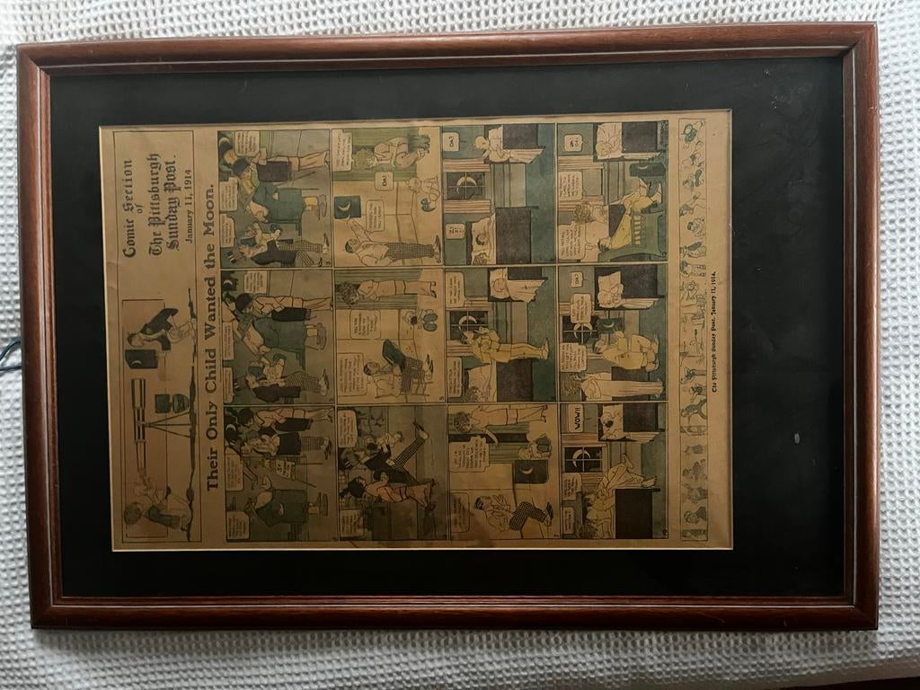 Twee cartoons uit The Pittsburgh Sunday Post 1914, Meerdere stripboeken, Ophalen, Gelezen