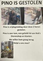 PINO GESTOLEN!!, Vogel