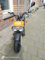 Honda Zoomer (Ruckus- April 2018)Unieke Gele Scooter, Ophalen, Honda, Gebruikt, Maximaal 45 km/u