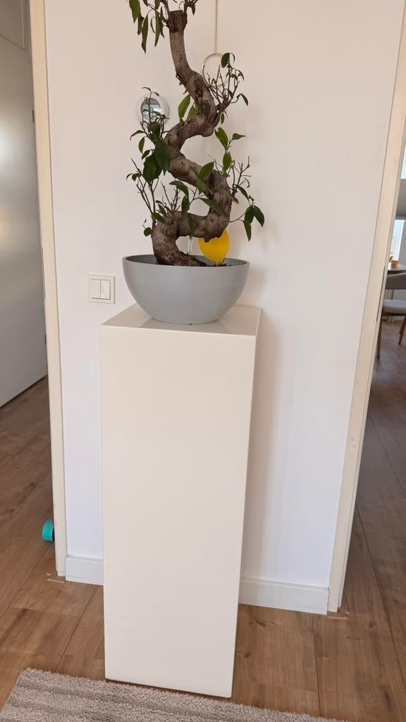 Mooie hoogglans zuil / pilaar 100x30x30, Ophalen, Zo goed als nieuw