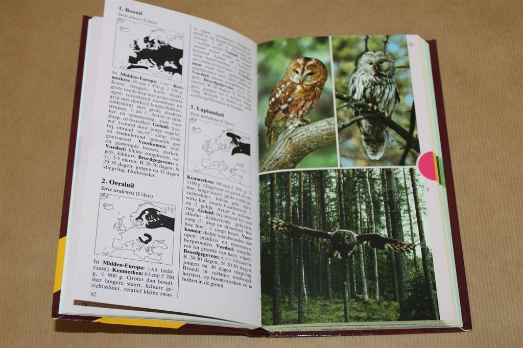 Thieme vogelgids in kleur., Boeken, Ophalen of Verzenden, Gelezen