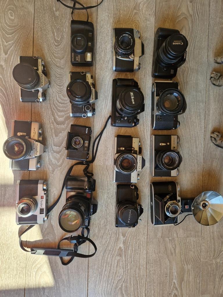 Collectie vintage camera's en projector. Voor de verzamelaar, Ophalen, Gebruikt, Spiegelreflex, Overige Merken