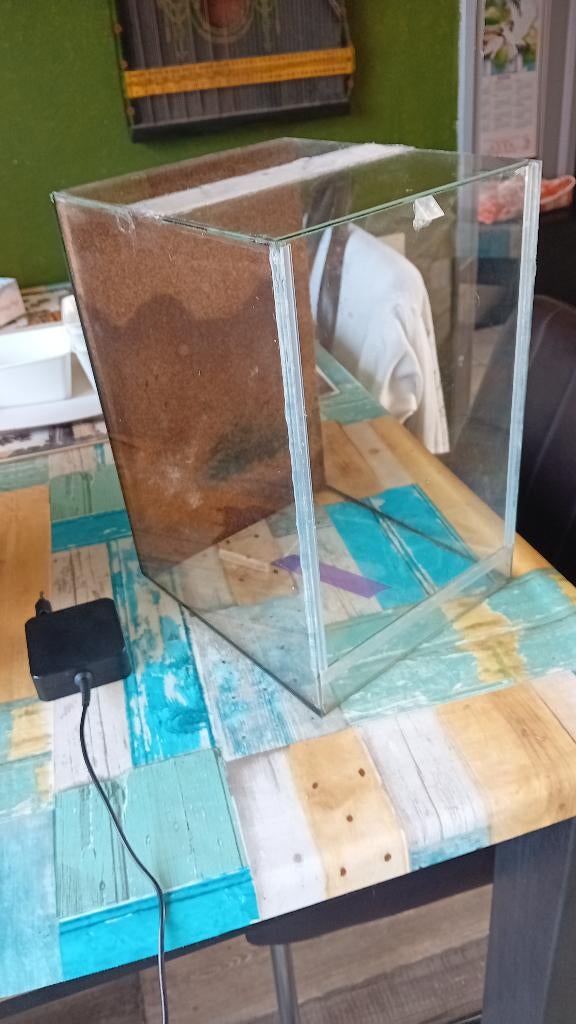 terrarium, Dieren en Toebehoren, Reptielen en Amfibieën | Toebehoren, Ophalen, Nieuw, Terrarium of Paludarium