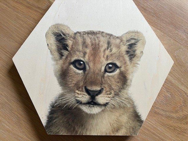 Hexagon Hout Baby Lion, Ophalen, Zo goed als nieuw, Wanddecoratie
