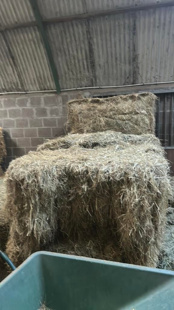 Grote baal goed stro 500kilo en grote baal goed hooi 360kilo, Ophalen, Vee