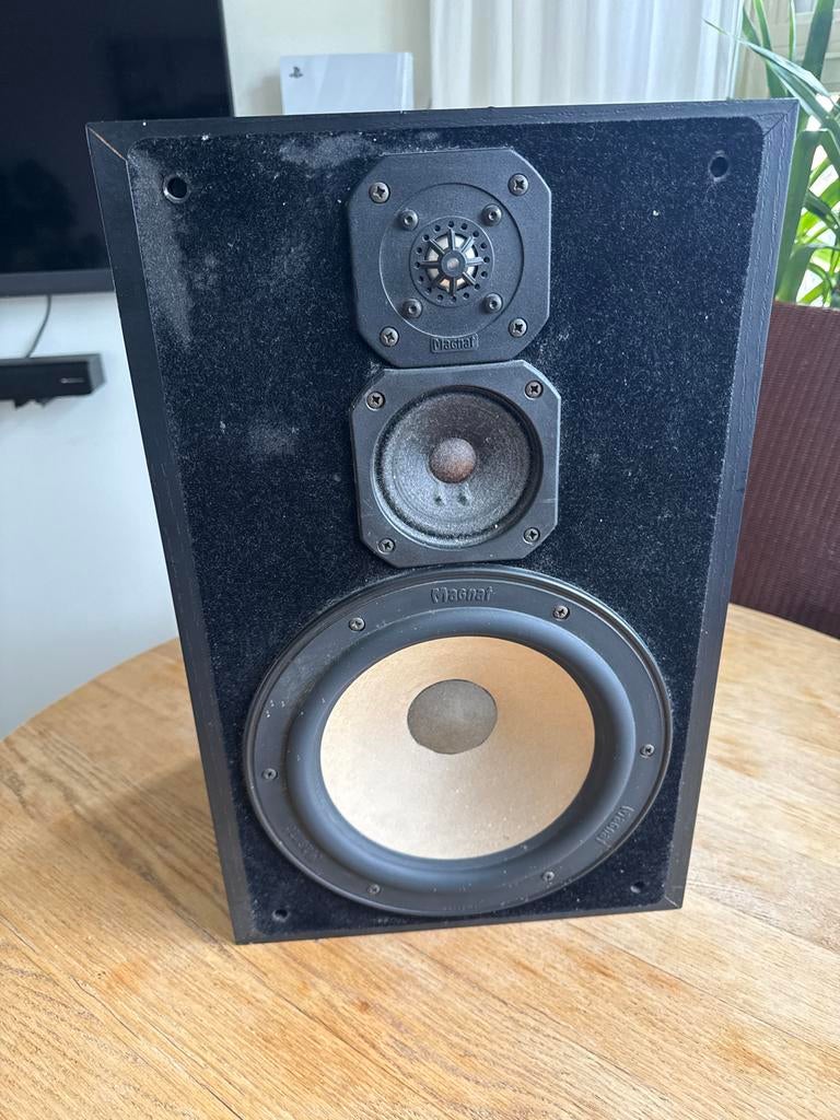 Magnat All-Ribbon 6 M luidspreker, Audio, Tv en Foto, Luidsprekers, Gebruikt, Magnat, Ophalen of Verzenden, 120 watt of meer