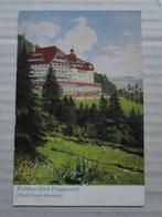 Ansichtkaart Duitsland - Waldlust - Hotel Freudenstadt 1930, Duitsland, 1920 tot 1940, Verzenden