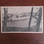 kaart, Verzenden, 1920 tot 1940, Ongelopen, Limburg