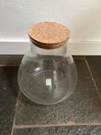 Glazen terrarium pot met kurk, Ophalen, Zo goed als nieuw