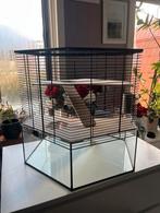 Knaagdieren kooi, Dieren en Toebehoren, Kooi, Minder dan 75 cm, Zo goed als nieuw, Hamster