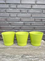 Papaja bloempot groen 12 cm 3 stuks IKEA, Rond, Binnen, Ophalen of Verzenden, Zo goed als nieuw