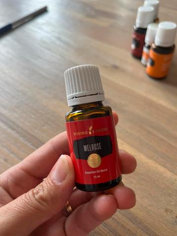 Young Living Melrose Nieuw ongeopend beschikbaar voor biedingen
