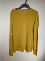 Alpha Studio gele dungebreide trui maat IT 40 / 36, FFW S.r.l., Ophalen of Verzenden, Zo goed als nieuw, Maat 36 (S)