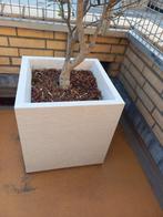 Plantenbak, Tuin en Terras, Bloembakken en Plantenbakken, Kunststof, Minder dan 60 cm, Vierkant, Zo goed als nieuw