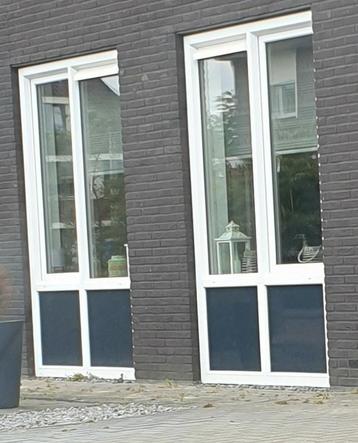 Kunststof kozijn – met glas en paneel 2 st. beschikbaar voor biedingen