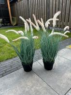 Kunst sierplanten siergrassen, Ophalen, Zo goed als nieuw