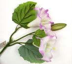 OPRUIMING - DATURA KUNST TAK - REAL TOUCH - 3,50 NU 2 EURO, Ophalen of Verzenden, Nieuw