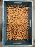 AKTIE❗️Walnoten 18 kg  van 2024  €0,75 p/ kg, Ophalen of Verzenden