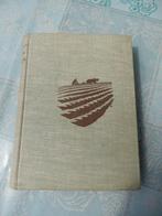 Friese roman/R. Brolsma/Groun en Minsken, Gelezen, Ophalen of Verzenden, Nederland, R. Brolsma
