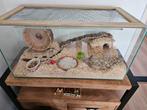 Hamsterkooi (glas), Dieren en Toebehoren, Knaagdieren en Konijnen | Hokken en Kooien, Ophalen, Gebruikt, Kooi, Minder dan 60 cm