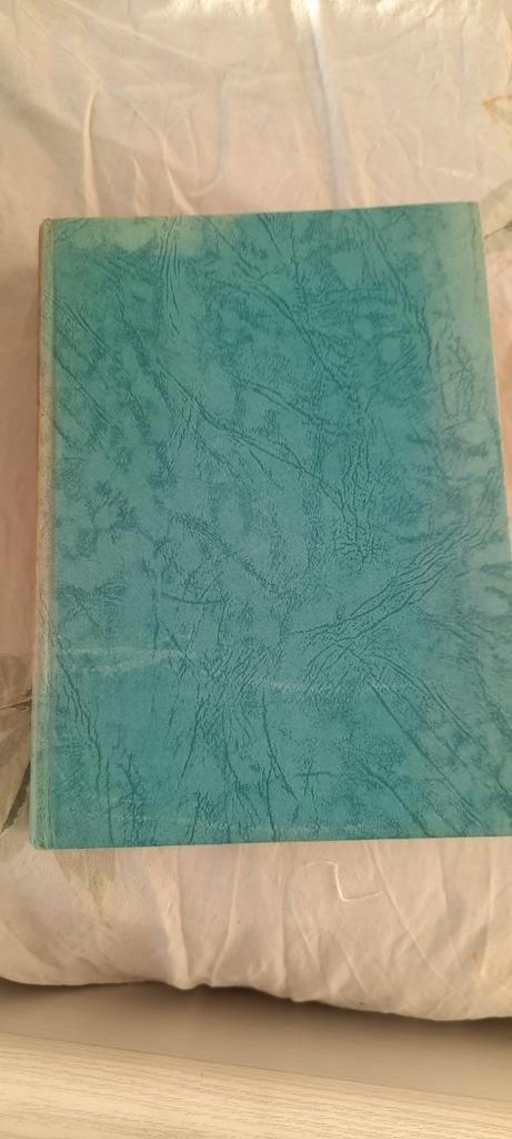 god wil het! door WJA Roldanus jr, Boeken, Romans, Gelezen, Nederland, Ophalen of Verzenden