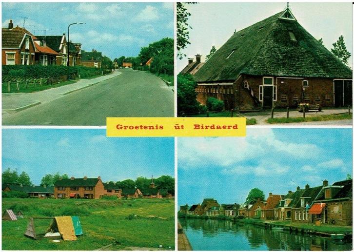 Ansichtkaart Birdaerd, straatje, recreatie, boerderij, vaart, Verzamelen, Ansichtkaarten | Nederland, Ongelopen, Friesland, 1980 tot heden