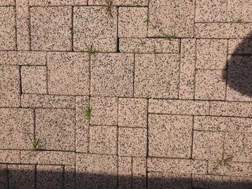 Gratis af te halen 15 m2 sierbestrating  beschikbaar voor biedingen