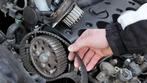 Distributieriem vervangen aan u auto, Ophalen of Verzenden, Nieuw