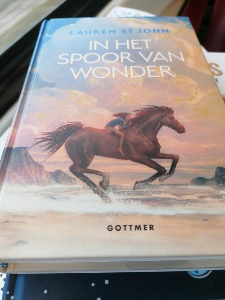 KLUITMAN In het spoor van wonder Lauren St John, Boeken, Kinderboeken | Jeugd | onder 10 jaar, Gelezen, Fictie algemeen, Ophalen of Verzenden