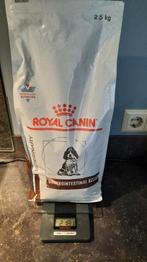 royal canin gastro intestinal puppy, Dieren en Toebehoren, Dierenvoeding, Ophalen, Hond