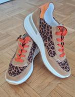 Nieuw Ara sneakers maat 40, Fitflop , Skechers, Skechers, Overige kleuren, Nieuw, Ophalen of Verzenden