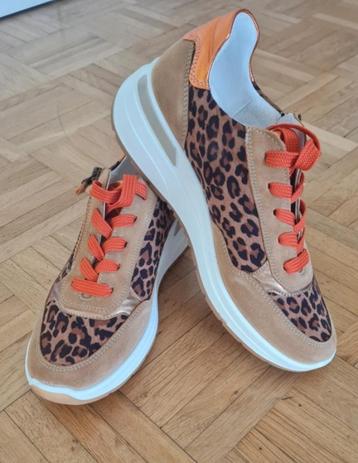 Nieuw Ara sneakers maat 40, Fitflop , Skechers beschikbaar voor biedingen