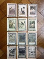 12 wandkunstkaarten - kalender 8 - Theo van Hoytema, Ophalen of Verzenden