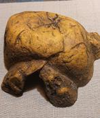 Schuilplaats voor spin, Dieren en Toebehoren